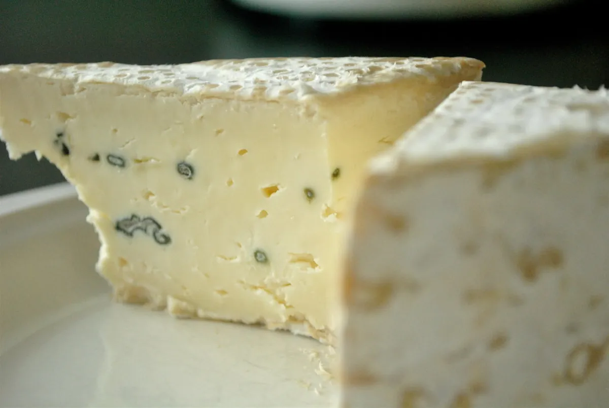 Fourme de Laguiole au lait cru, affinée en cave